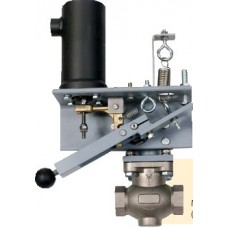 Magnatrol ROTARY SHAFT STYLE SOLENOID VALVES (ER Series) 2-Way Valve